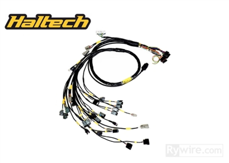 Rywire K-Series Naturally Aspirated w/Haltech ELITE 1500+ Engine Harness (w/4 Inj / No EMAP/Boost)